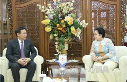 Việt Nam và Indonesia thúc đẩy hợp tác đối tác chiến lược